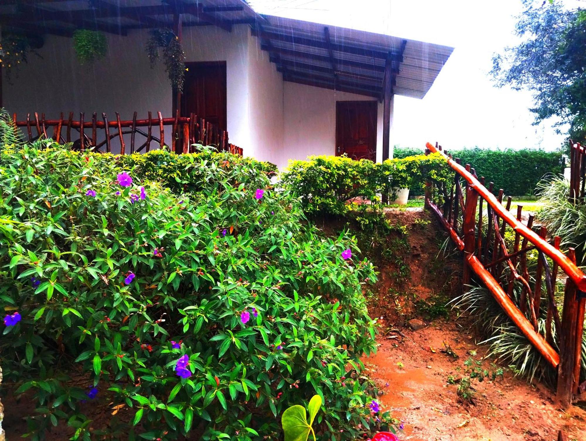 Ella Hotel Upper Hill Exterior photo