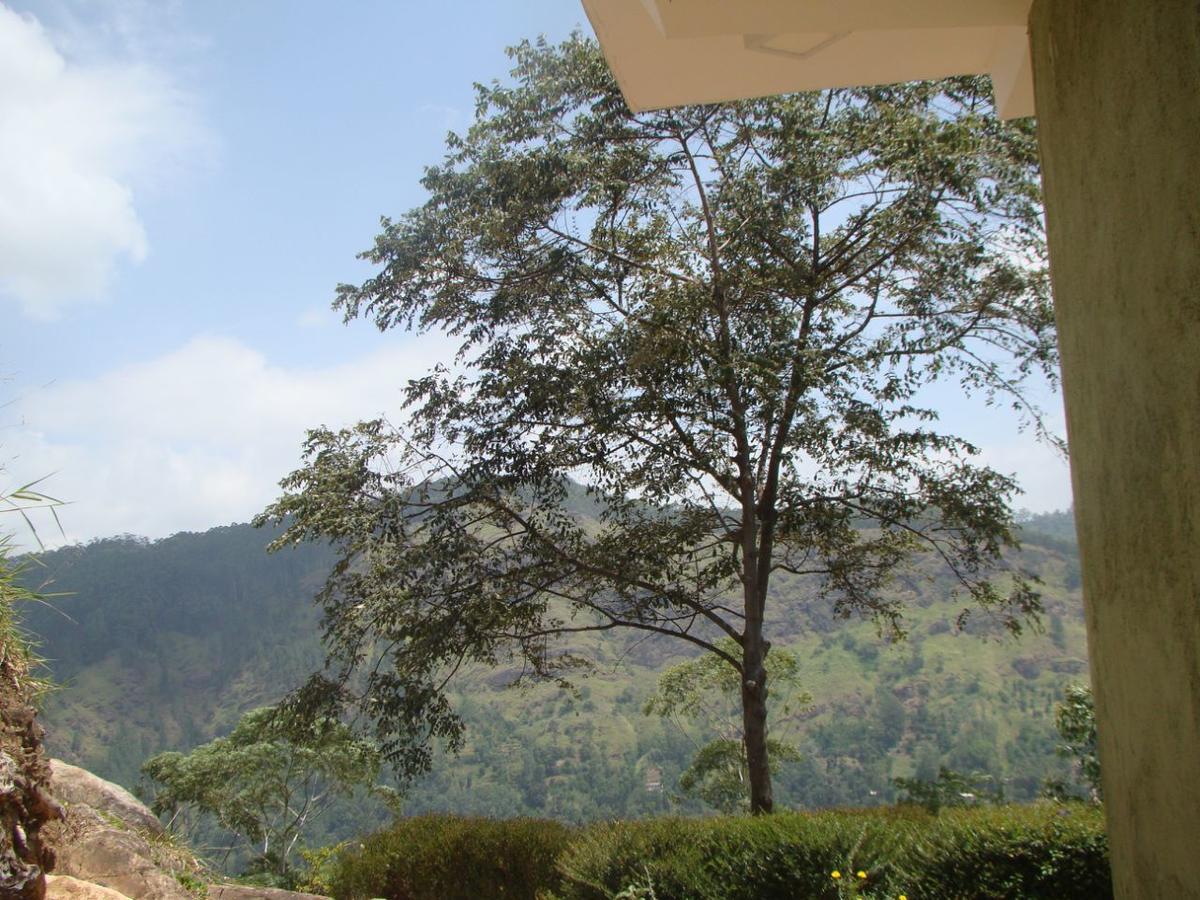Ella Hotel Upper Hill Exterior photo